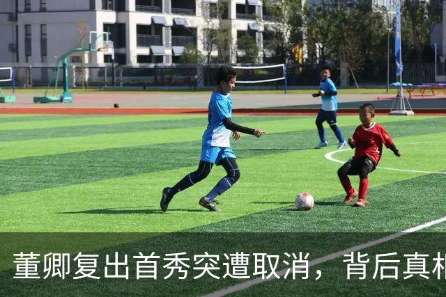 董卿复出首秀突遭取消，背后真相令人唏嘘