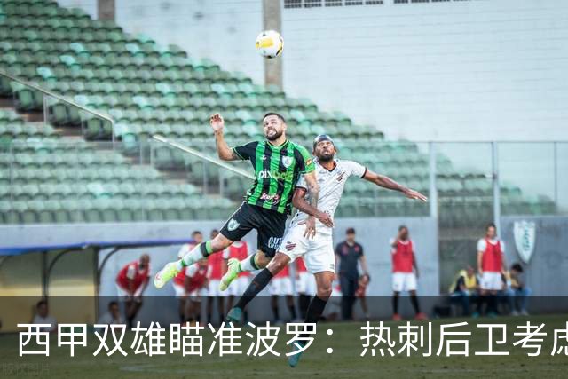 西甲双雄瞄准波罗：热刺后卫考虑回归西班牙